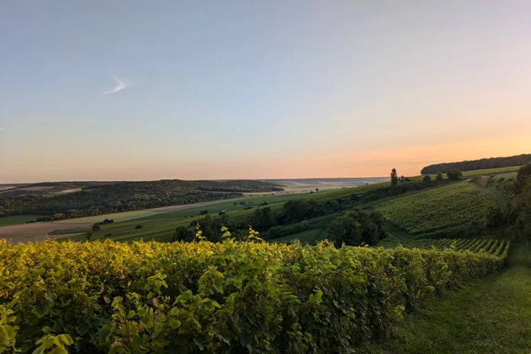 From Paris: Small-Group Champagne Tour with Six Tastings