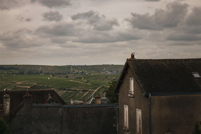 Champagne: Day Trip from Paris with 8 Tastings and Lunch