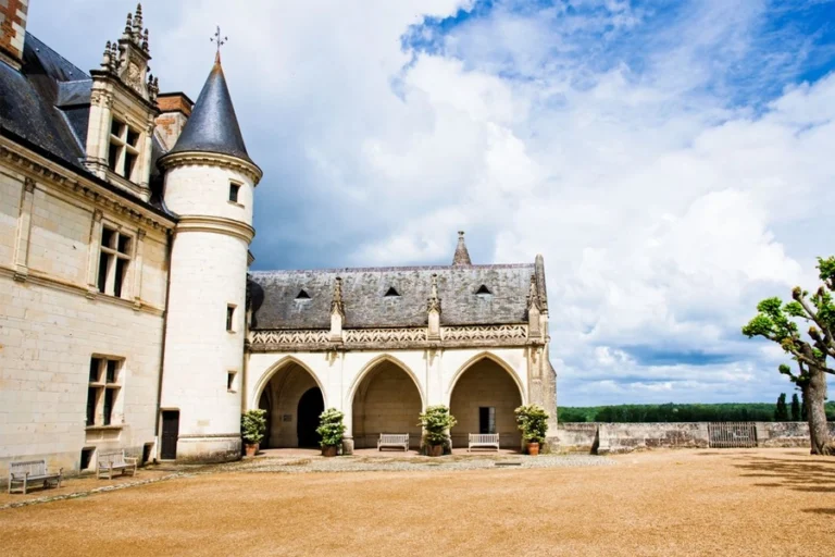 From Paris: Loire Valley Castles Day Trip with Wine Tasting