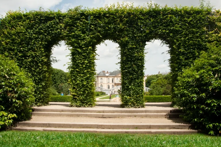 Rodin Museum + Orsay Museum