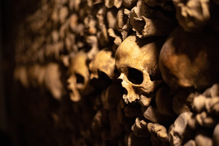Paris: Catacombs Entrance Ticket and Seine River Cruise with Audio Guide