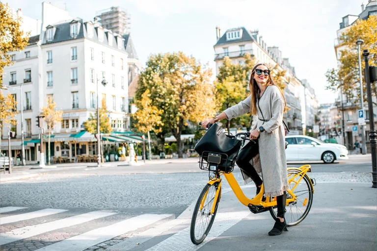 Guided bike tour of the city's highlights