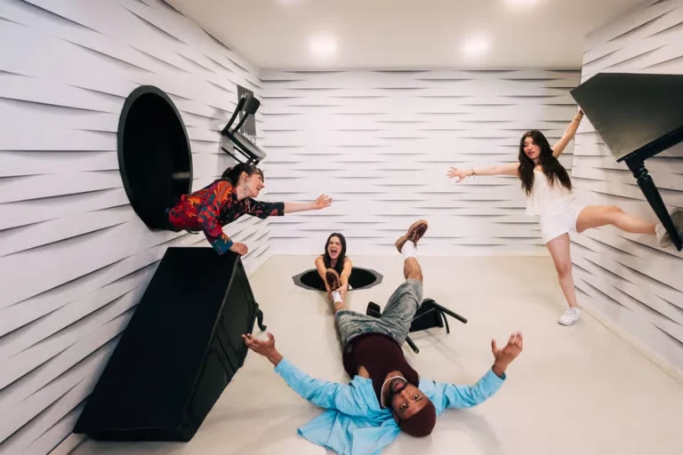 Entrance tickets to the Museum of Paradox