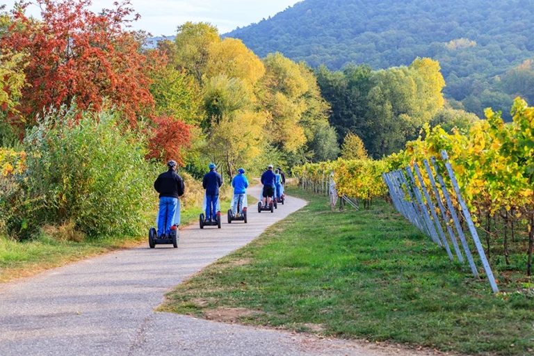 Paris: Private Segway Tour