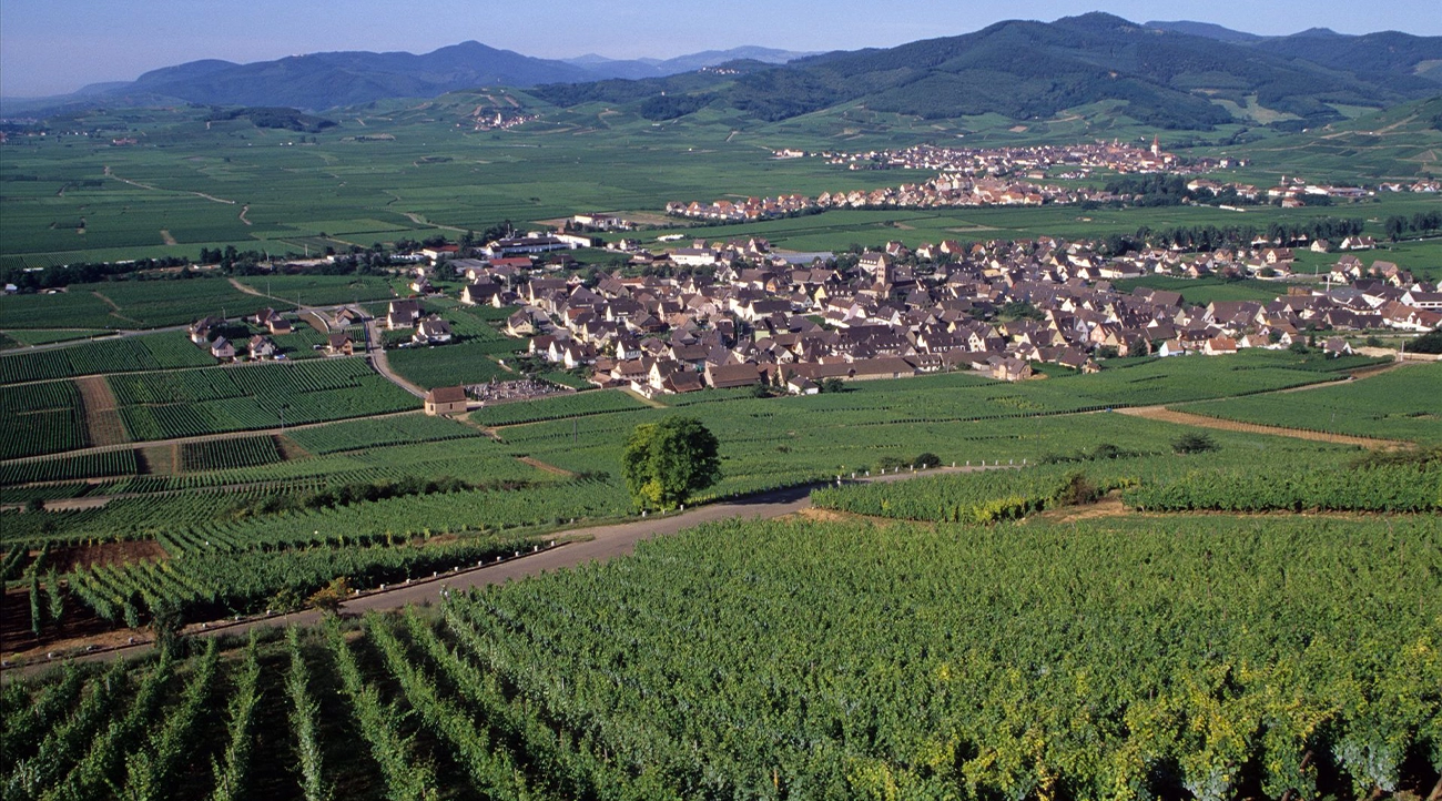 Panorama of Champagne and its vineyards