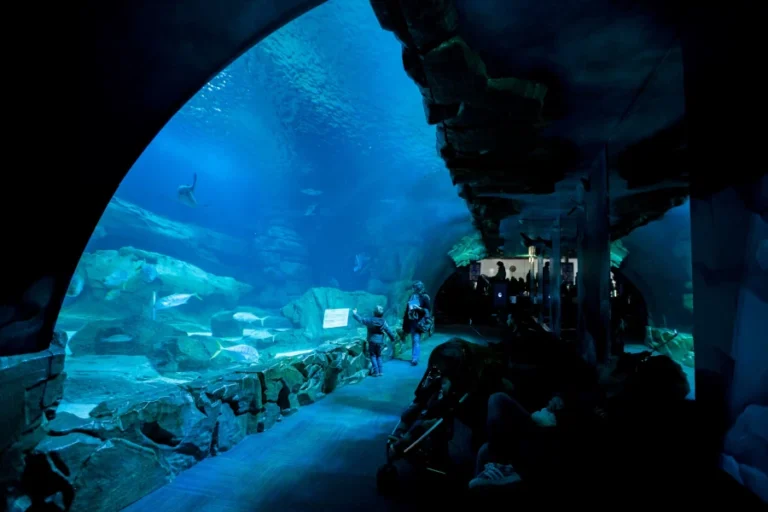 Entrance ticket to the Paris Aquarium