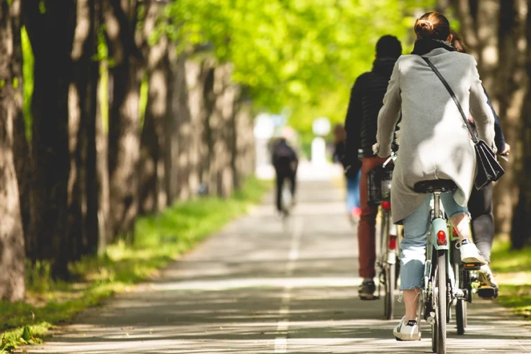Bike tour of the city's main attractions