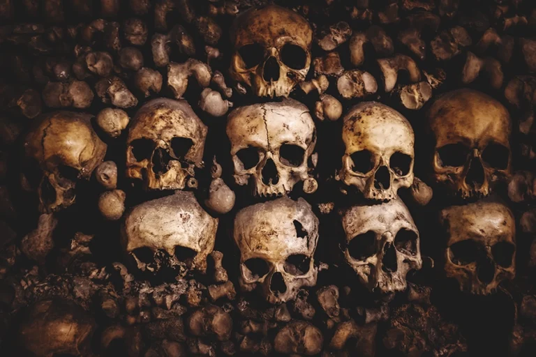 Guided tour of the Paris Catacombs with priority entrance and special access