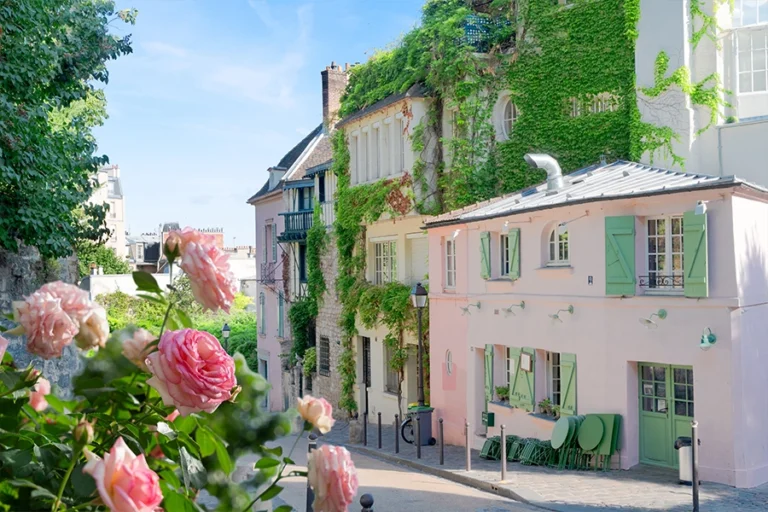 Paris: Montmartre Guided Walking Tour with a Local Guide